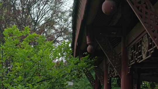 重庆雨季下雨屋檐实拍