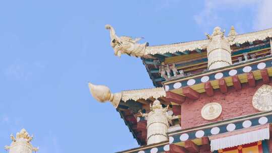 云南省香格里拉松赞林寺寺院建筑视频素材模板下载