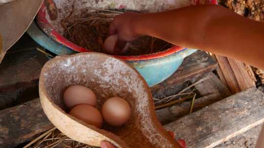 土鸡蛋 散养土鸡蛋 农家土鸡蛋