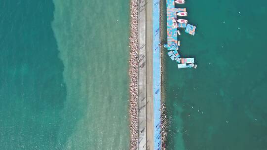 青海湖湖水盐湖海鸥鸟飞翔