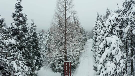 金华山森林露营基地小西湖林区冬季雪景航拍