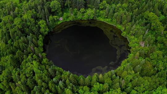 原始密林中的圆形湖泊