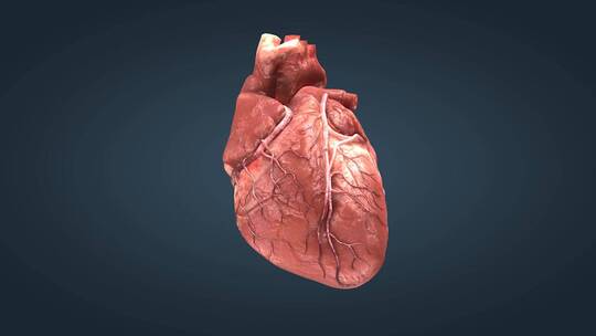 三维心脏跳动心脏疾病病变动画09视频素材模板下载