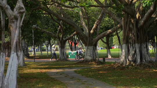 公园内行人骑车漫步场景