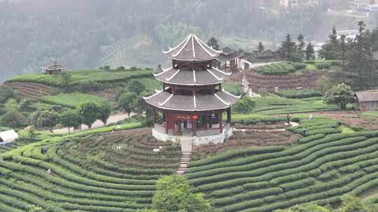 仙人山景区布央茶山航拍