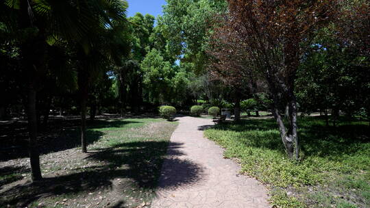 武汉江岸区汉口江滩风景