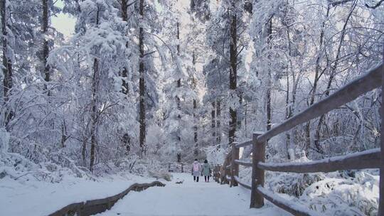 情侣欢乐地从大雪覆盖的峨眉山登山步道下山