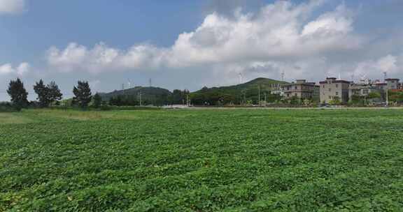 平潭岛上的农田