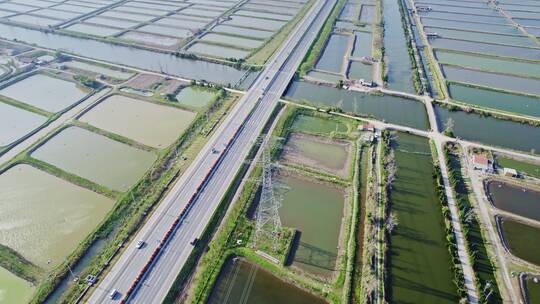 大型养鱼池基地