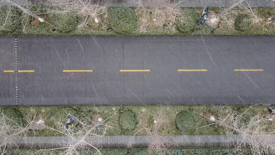 雪中的博雅路