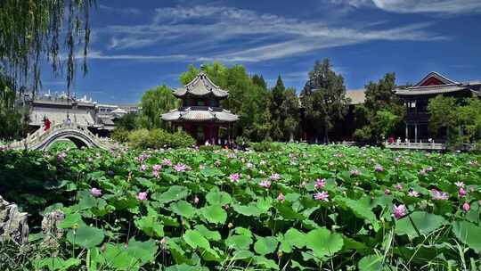 河北省保定市古莲花池