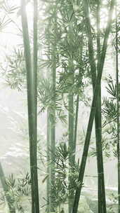 雾中的绿竹，茎叶