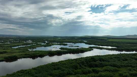 航拍海拉尔河湿地夏日风景