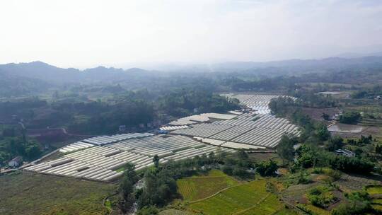 绿色农业大棚种植基地