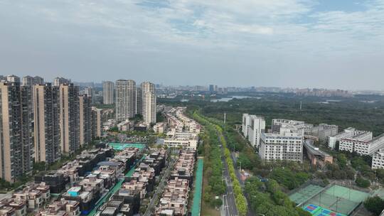 东莞理工学院 松山湖视频素材模板下载