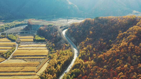 北方秋季森林公路大气航拍