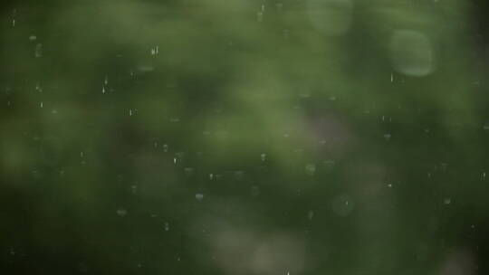 森林背景上的雨视频素材模板下载