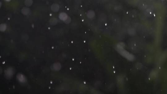 雨水滴落植物叶片合集视频素材模板下载