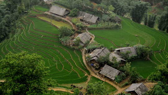 乡村的房屋和梯田