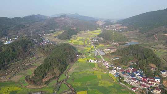 美丽乡村农业种植油菜花农田航拍