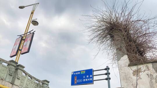 横店路灯路牌墙头落叶植被飞鸟空镜