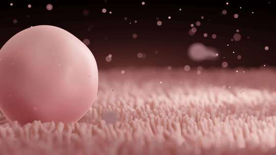 精子细胞与卵子细胞结合的动画视频素材模板下载