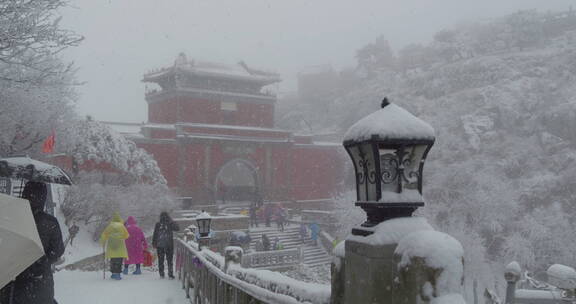 山东泰山风景区雪景下雪