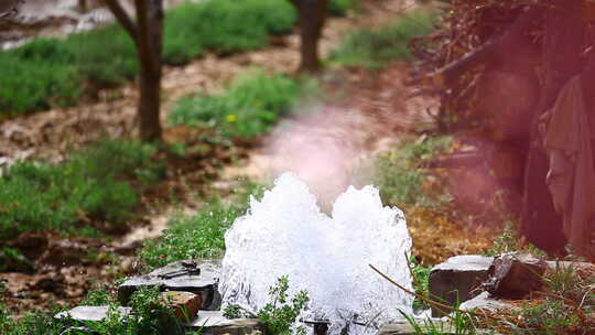 鲜花与泉水 特写拍摄镜头