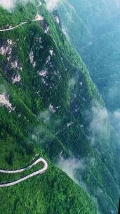 有幸拍到了雨后透明的美景，治愈系风景