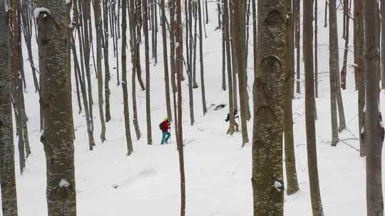 滑板和滑雪旅游概念。在山林树林中排队上山