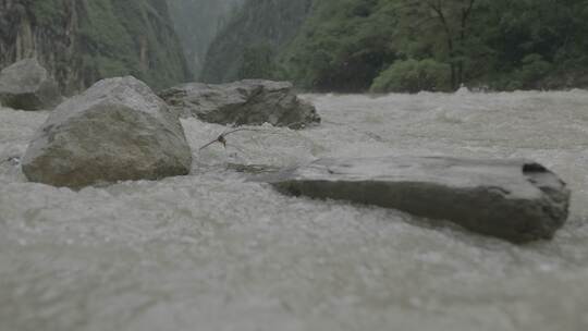 4k大自然山水树木河流石头水流