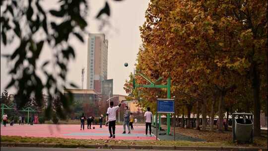 青春 校园生活 毕业 大学生活 旅游视频素材模板下载