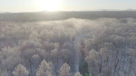 冬季长白山原始森林朝阳温泉晨雾航拍