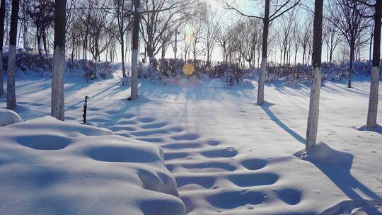 冬天雪地覆盖的公园步道