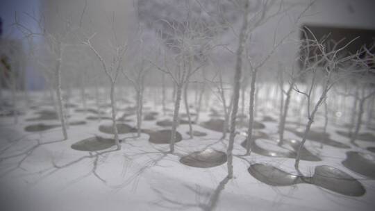 微型景观模拟雪天的枯木