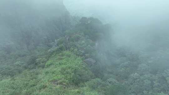 大气山峰森林航拍山川云海山脉壮丽山河风光