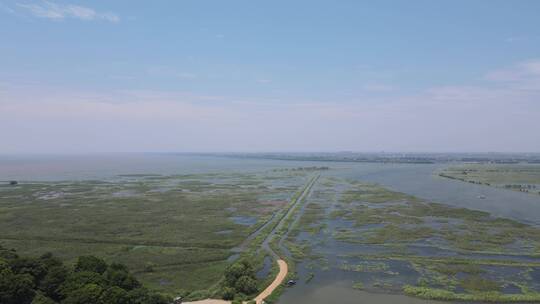 湖南岳阳洞庭湖湖面芦苇野草植物航拍视频素材模板下载