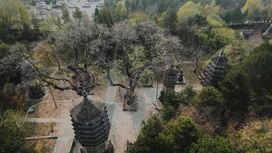 潭柘寺塔林