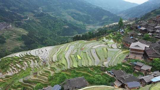 航拍贵州黔东南从江加榜梯田（原视频）