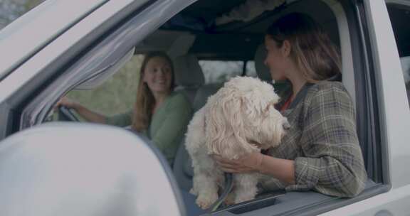 女人，货车，宠物狗，女朋友