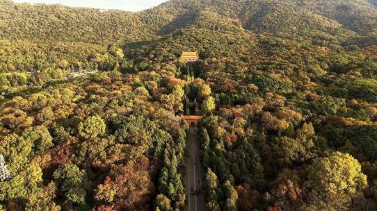 2025 明孝陵 中山陵 美龄宫 音乐台 石象路