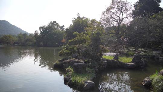 杭州西湖十景之一花港观鱼