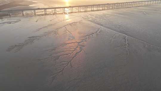 海宁市嘉绍大桥钱塘江畔大地之树