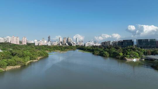 4K深圳南山区华侨城湿地公园航拍