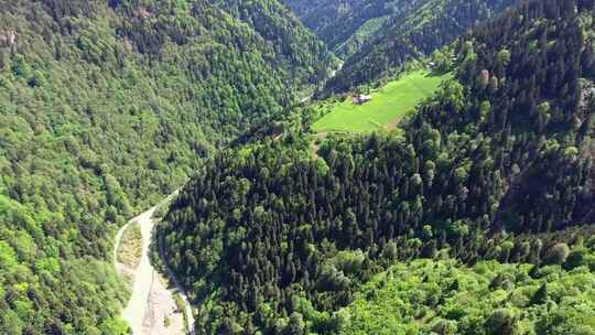 森林和山村房屋的小空地