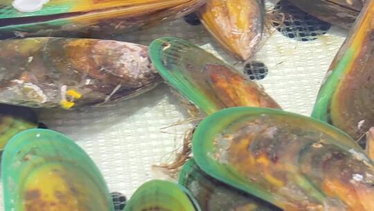 【镜头合集】海虹贝壳蛤蜊小海鲜甲壳自助餐