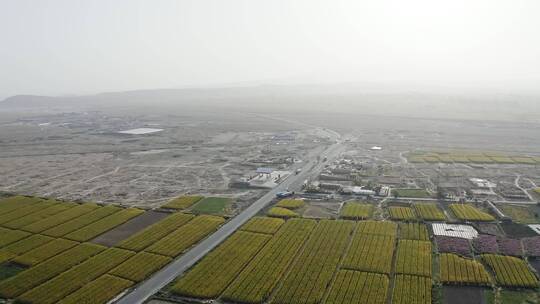 航拍大型农田种植地中国农业发展