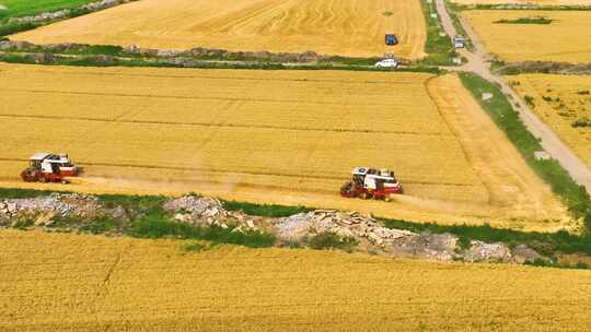 农业发展小麦丰收春耕秋收航拍