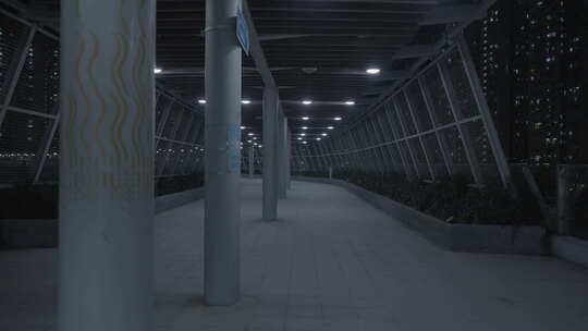 香港九龙区人行天桥夜景视频素材模板下载
