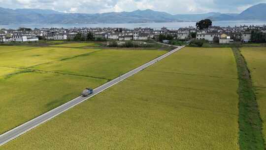 大理稻田航拍风光